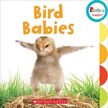Bird Babies (Rookie Toddler)
