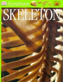 Skeleton (Eyewitness)