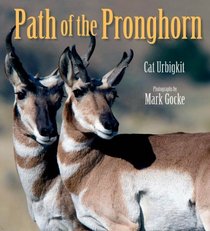 Path of the Pronghorn