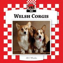Welsh Corgis (Dogs Set 8)