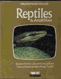 Reptiles and Amphibians: Based on the Television Series, Wild, Wild World of Animals (Wild, Wild World of Animals)