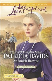 An Amish Harvest (Amish Bachelors, Bk 1) (Love Inspired, No 931) (Larger Print)