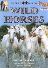 Wild Horses (Nature Watch)