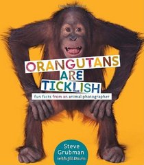 Orangutans Are Ticklish: Fun Facts from an Animal Photographer