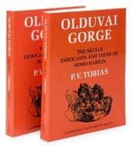 Olduvai Gorge 2 Part Set: Volume 4, The Skulls, Endocasts and Teeth of Homo Habilis