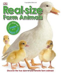 Real-size Farm Animals