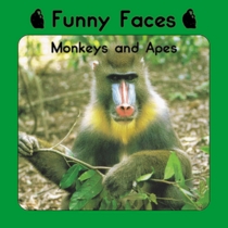Funny Faces: Monkeys and Apes (Little Nature Books Series)