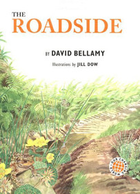 The Roadside (Our Changing World)