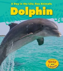 Dolphin (A Day in the Life: Sea Animals)