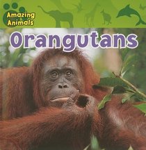 Orangutans (Amazing Animals)