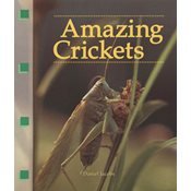 Amazing Crickets (Newbridge discovery links)