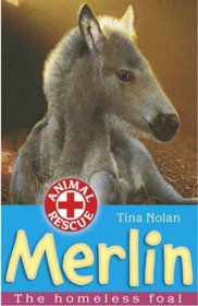 Merlin: The Homeless Foal (Animal Rescue)