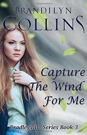 Capture The Wind For Me (Bradleyville Series) (Volume 3)