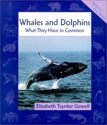 Whales and Dolphins: What They Have in Common (Animals in Order (Econoclad))
