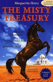 The Misty Treasury