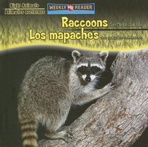 Raccoons Are Night Animals/Los Mapaches Son Animales Nocturnos (Night Animals/ Animales Nocturnos) (Spanish Edition)