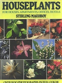 Houseplants For Houses, Apartments, Offices, Hotels