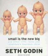 Small is the New Big: And Other Riffs, Rants, and Remarkable Business Ideas (Audio CD) (Abridged)
