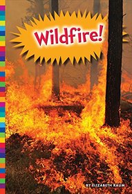 Wildfire! (Natural Disasters)