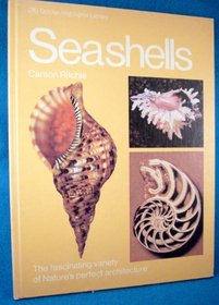 Seashells: Golden Highlights Library