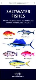 Saltwater Fishes: An Introduction to Familiar North American Species (Pocket Naturalist - Waterford Press)