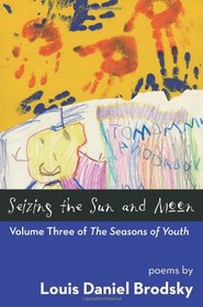 Seizing the Sun and Moon (Seasons of Youth, Vol. 3)