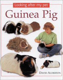 Guinea Pig (Looking After My Pet)