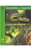 Serpientes Y Lagartos (Yellow Umbrella Books (Spanish))