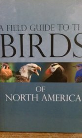 The Bird Watching Field Kit