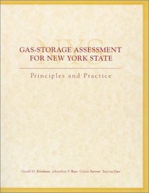 Gas-Storage Assessment For New York State: Principles and Practice