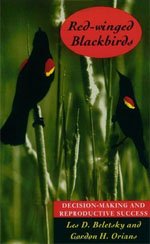 Red-winged Blackbirds : Decision-making and Reproductive Success