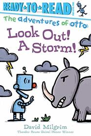 Look Out! A Storm! (The Adventures of Otto)