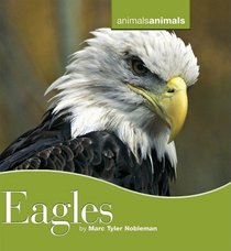 Eagles (Animals Animals)