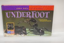Underfoot (Look Once, Look Again)