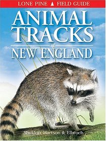 Animal Tracks of New England (Lone Pine Field Guides)