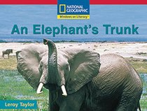 An Elephant's Trunk