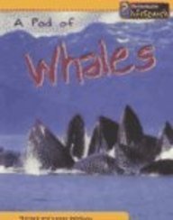 A Pod of Whales (Animal Groups)