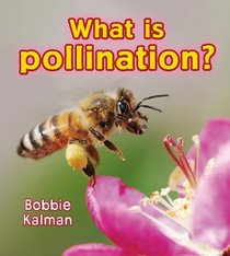 What Is Pollination? (Big Science Ideas)
