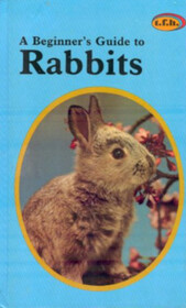 Beginner's Guide to Rabbits