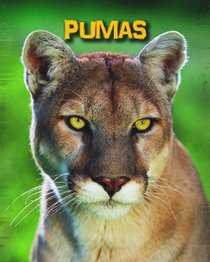 Pumas (Infosearch: Living in the Wild: Big Cats)