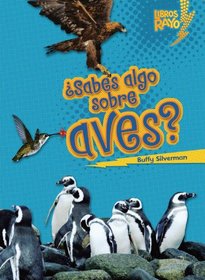..Sabes algo sobre aves?/ Do You Know about Birds? (Libros Rayo - Conoce Los Grupos De Animales /Lightning Bolt Books T - Meet the Animal Groups)) (Spanish Edition)