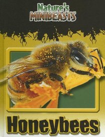 Honeybees (Nature's Minibeasts)