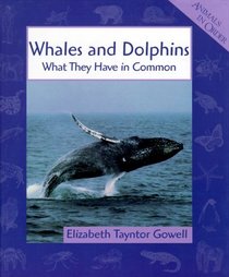 Whales and Dolphins: What They Have in Common (Animals in Order)