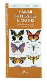 Hawaii Butterflies & Moths: An Introduction to Familiar Species (State Nature Guides)