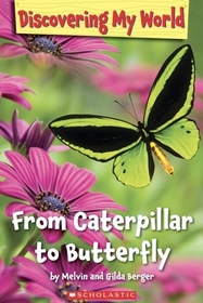 Discovering My World: From Caterpillar to Butterfly