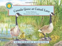 Canada Goose at Cattail Lane - a Smithsonian's Backyard Book (Mini book)