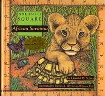 African Savanna (One Small Square)
