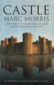 Castle: A History of the Buildings that Sahped Medieval Britain