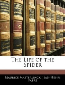 The Life of the Spider