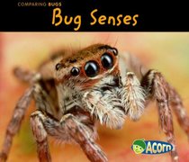 Bug Senses (Acorn)